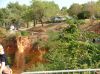DSCF5983.JPG