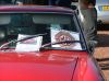 DSCF6123.JPG