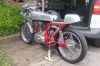 DSCF9950.JPG