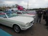 DSCN0654.jpg