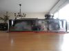 DSCN1052.JPG