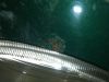 DSCN1189.JPG