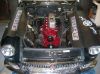 DSCN1424.JPG