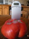DSCN4849.JPG