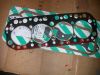 DSCN8204.JPG
