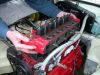 DSCN8234.JPG