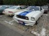 DSCN9761.jpg
