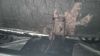 DSC_0002~4.JPG
