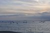 DSC_0048_DxO.jpg