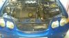 DSC_01015B15D.JPG