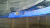 DSC_01025B15D.JPG