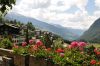 DSC_0281_DxO~0.jpg