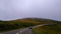 DSC_0371.jpg