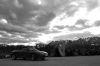 DSC_0439.jpg