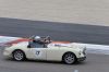 DSC_0694_DxO.jpg