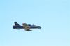 DSC_0928_28Medium29.jpg