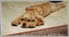 DSC_1892.jpg