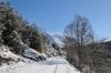 DSC_2679_DxO.jpg
