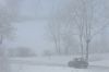 DSC_2756_DxO.jpg