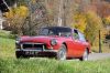 DSC_6659.JPG
