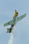 DSC_7250_DxO_cr_cr.jpg