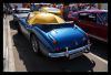 DSC_7767.JPG