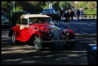 DSC_8440.JPG