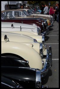 DSC_8460.JPG