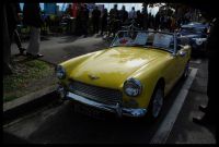 DSC_8466.JPG