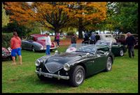 DSC_8481.JPG