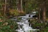 DSC_9856_DxO.jpg