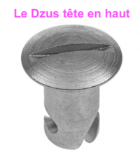 Dzus_1.png