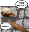 Escargot_SDF.jpg