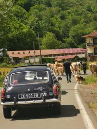 FCB0D8F5-322E-4017-952E-E2D2B060DAC1.jpeg
