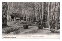 Foret_de_Berce_28Sarthe29__-_copie.jpeg