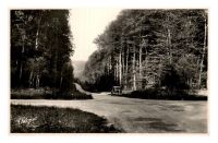 Foret_du_Troncais_28Allier29_le_Rond_Bernard.jpg