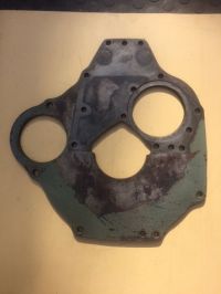 Frog-Plaque_AR1.JPG