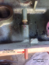 Frog-moteur-tube_jauge_huile-indic1.png