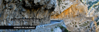 Galamus.png