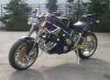 Honda_CBX_hoppe01.jpg
