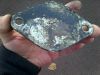 IMG-20130921-00086.jpg