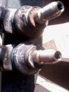 IMG0010A.jpg