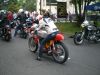 IMGP1381.JPG