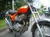 IMGP1383.JPG