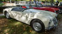 IMGP2716.jpg