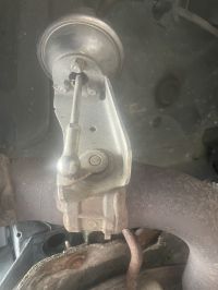 IMG_0290~1.jpeg