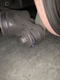 IMG_0393.jpeg