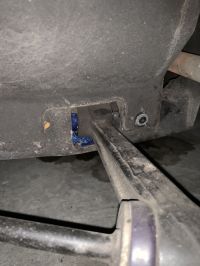 IMG_0394.jpeg