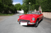 IMG_0400.png