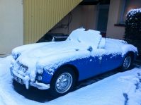 IMG_0833.jpg